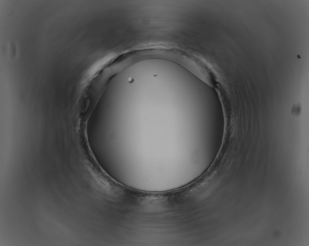 X0000091061406200708271146