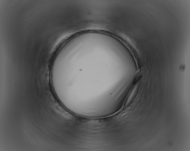 X0000091061408200708271146