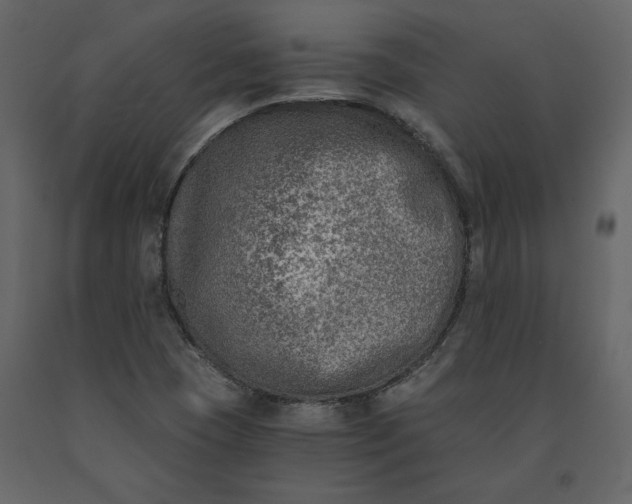 X0000091061409200708271146