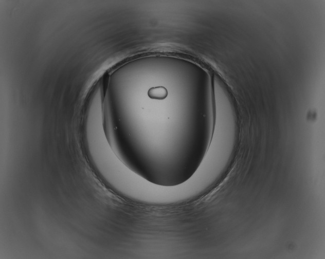X0000091061410200708271146