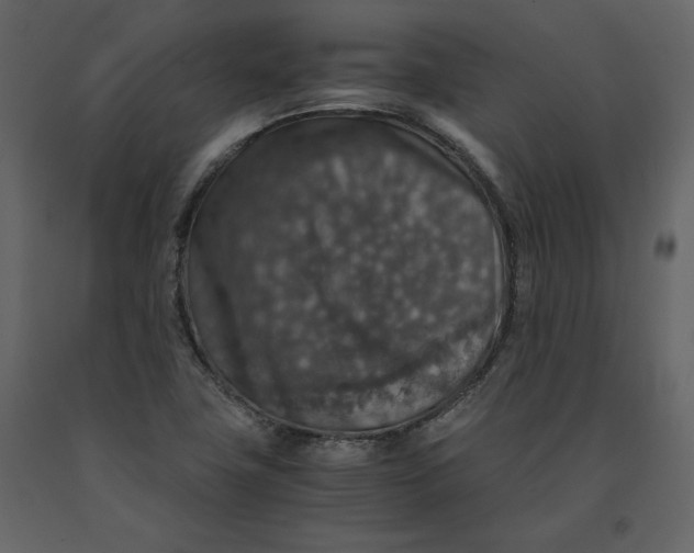 X0000091061411200708271146