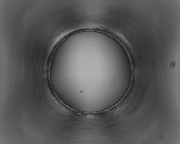 X0000091061412200708271146