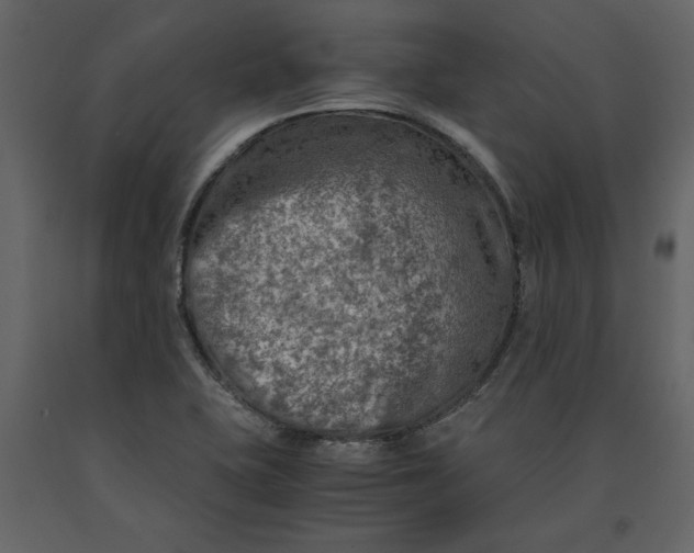 X0000091061415200708271146
