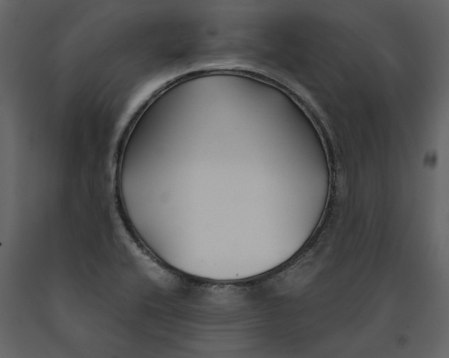 X0000091061416200708271146