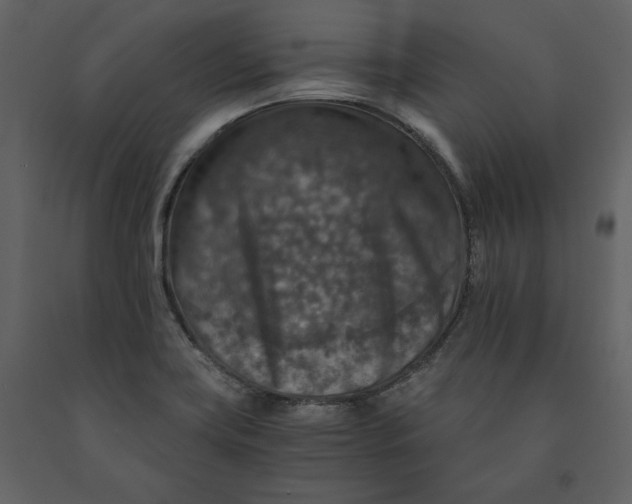 X0000091061419200708271146