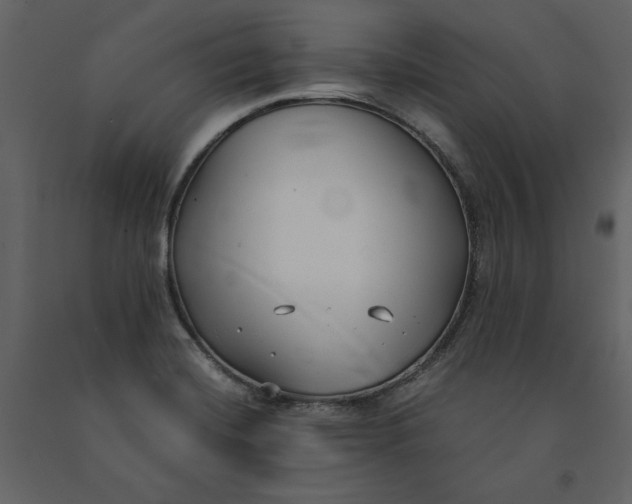X0000091061420200708271146