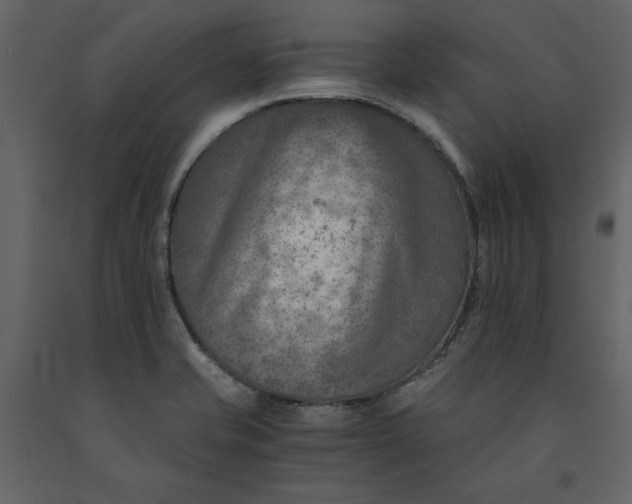 X0000091061421200708271146