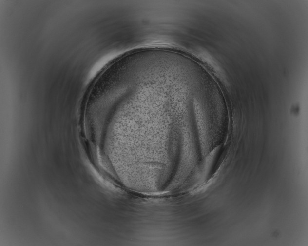 X0000091061422200708271146