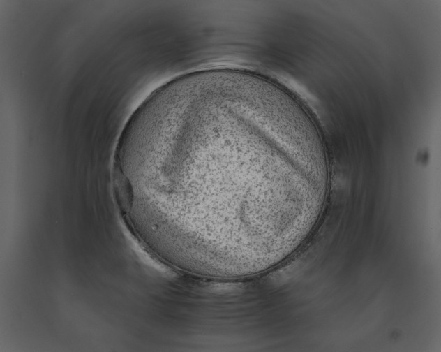 X0000091061423200708271146