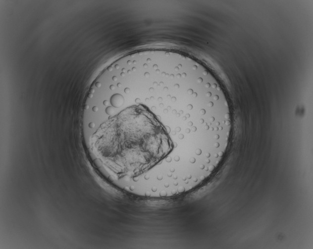 X0000091061425200708271146