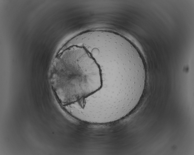 X0000091061429200708271147