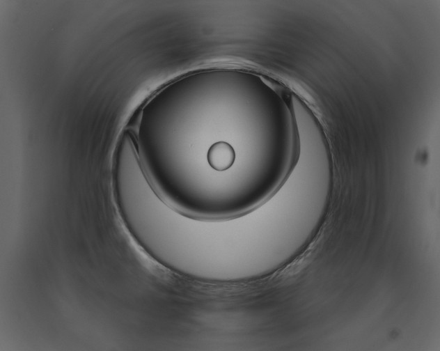 X0000091061430200708271147