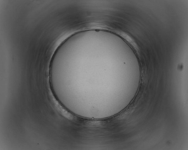 X0000091061431200708271147