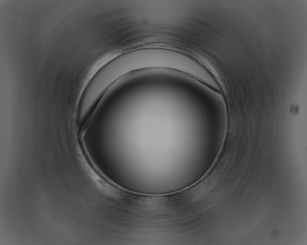 X0000091061434200708271147