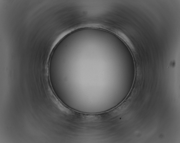 X0000091061436200708271147