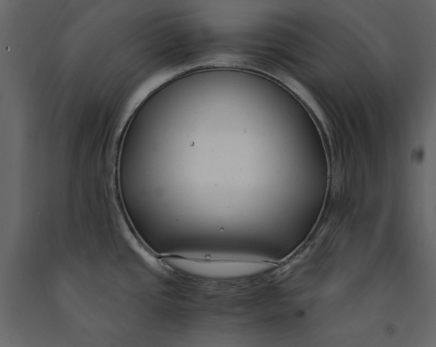 X0000091061437200708271147