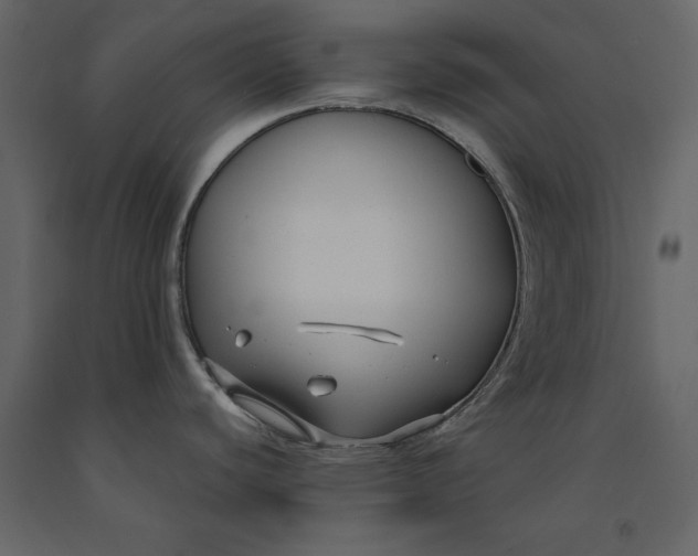 X0000091061440200708271147