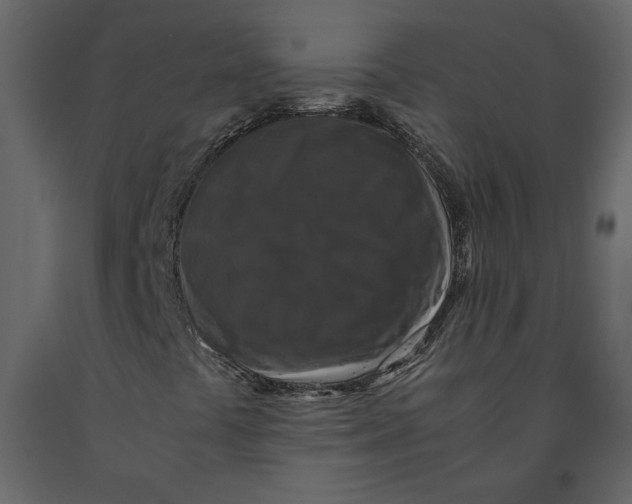 X0000091061441200708271146