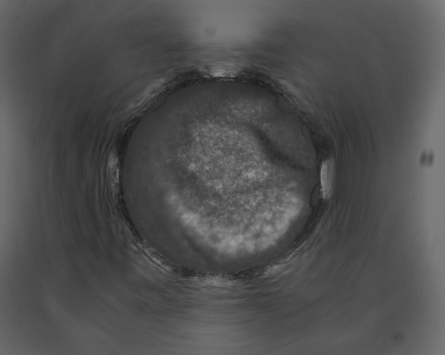 X0000091061443200708271146