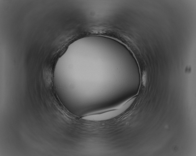 X0000091061444200708271146