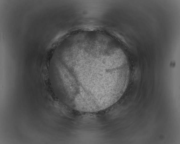 X0000091061446200708271146