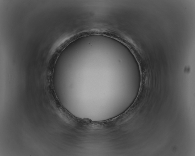 X0000091061448200708271146