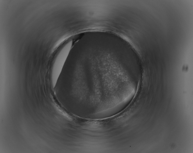 X0000091061450200708271146