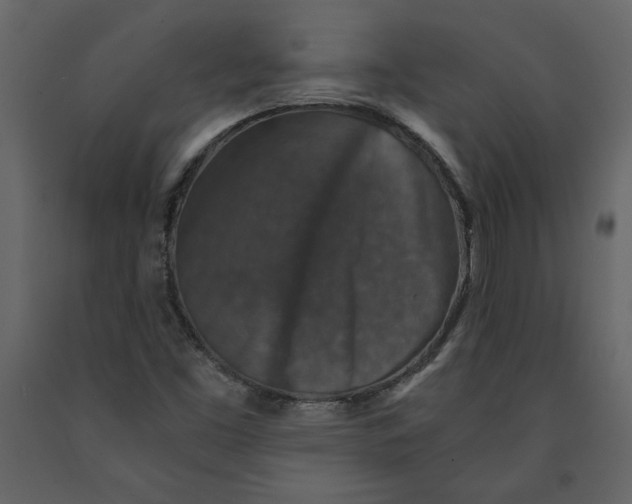 X0000091061453200708271146