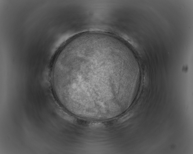 X0000091061454200708271146