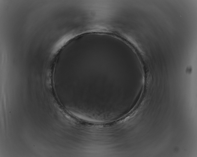 X0000091061455200708271146