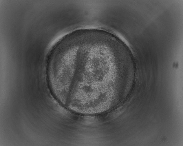 X0000091061456200708271146