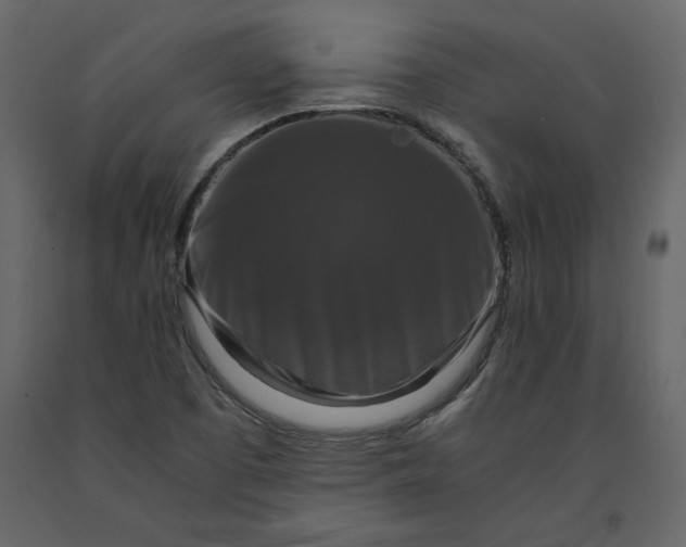 X0000091061457200708271146