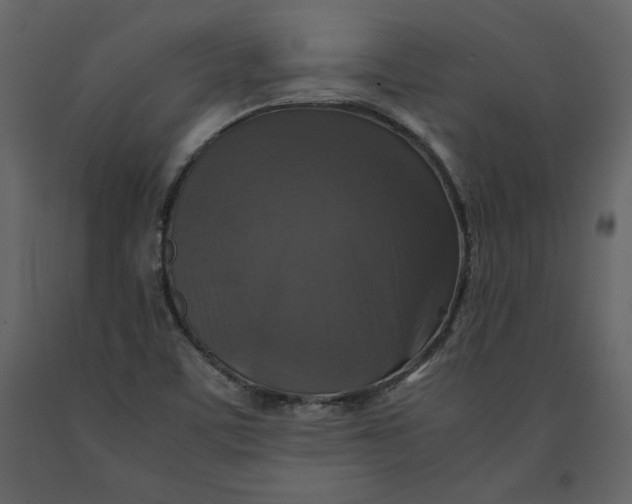 X0000091061459200708271146