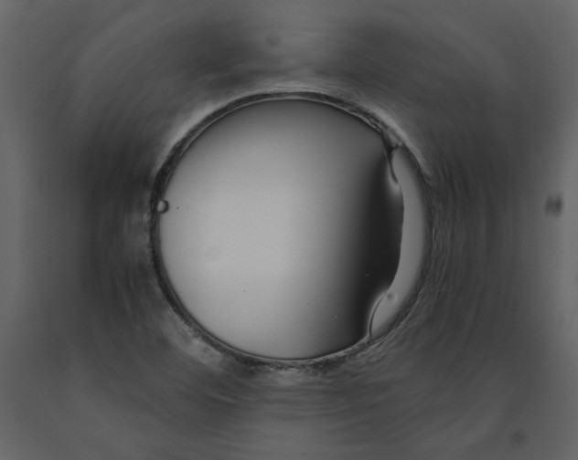 X0000091061460200708271146