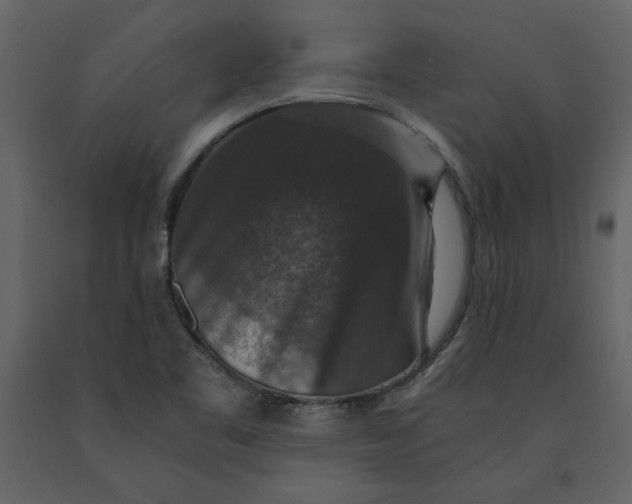 X0000091061461200708271146