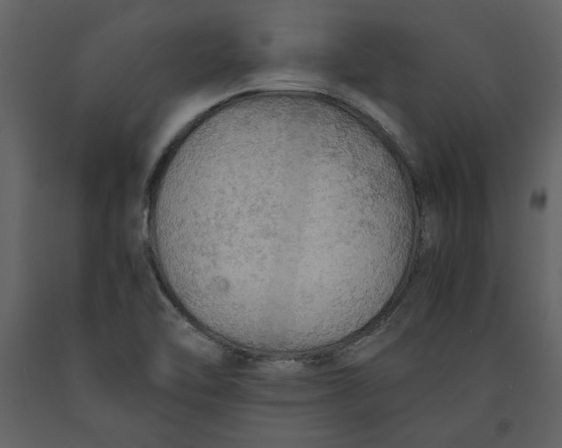 X0000091061462200708271146