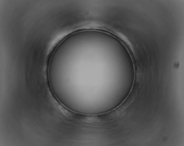 X0000091061464200708271146