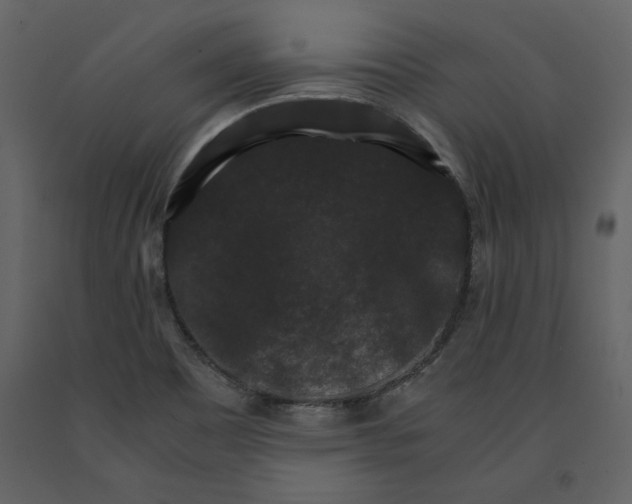 X0000091061465200708271146