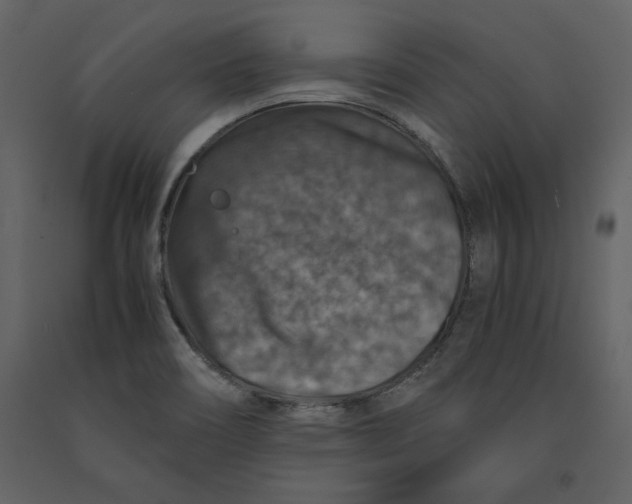 X0000091061466200708271146