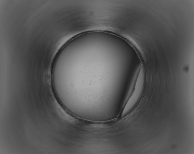 X0000091061468200708271146
