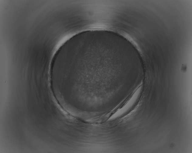 X0000091061469200708271146