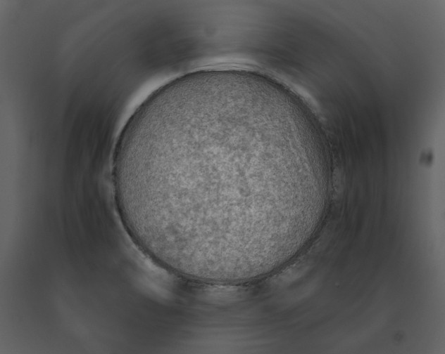 X0000091061470200708271146