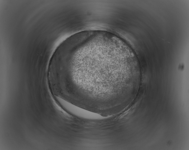 X0000091061471200708271146