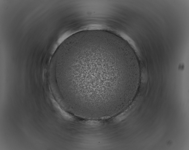 X0000091061473200708271145