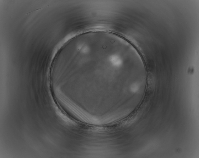 X0000091061474200708271145