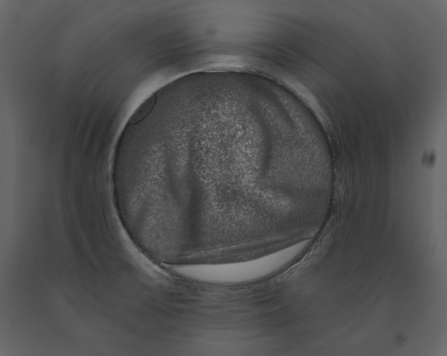 X0000091061475200708271145