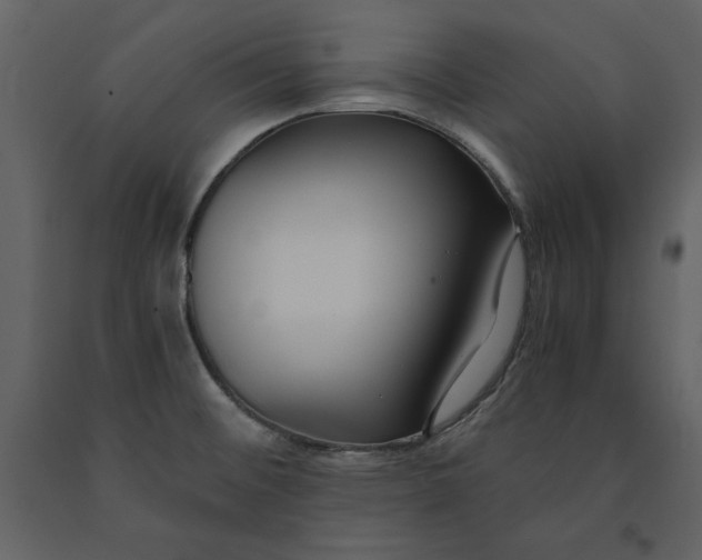 X0000091061476200708271145