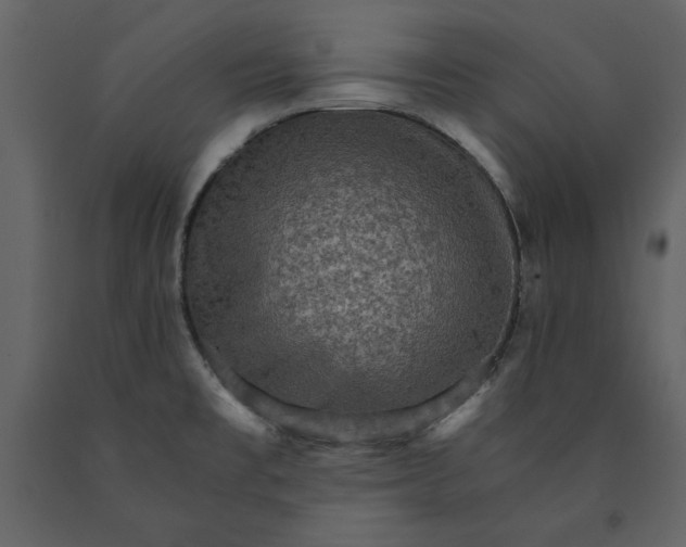 X0000091061477200708271145