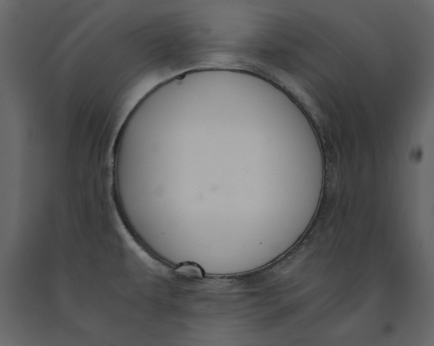 X0000091061479200708271145