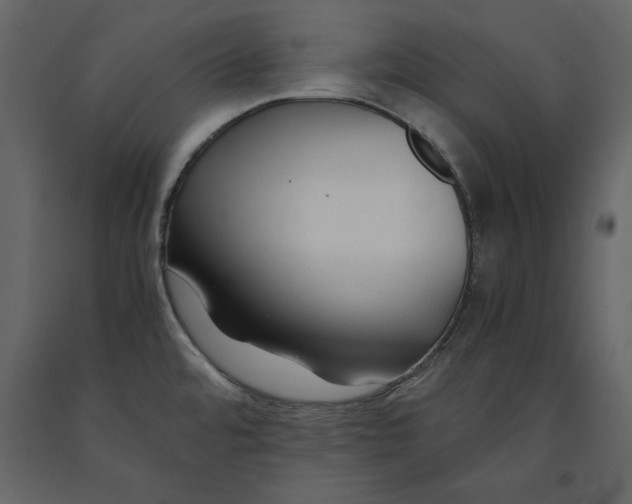 X0000091061480200708271145